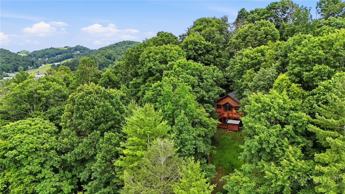 176 Raven View Boone, NC 28607 - Photo 31 of 39