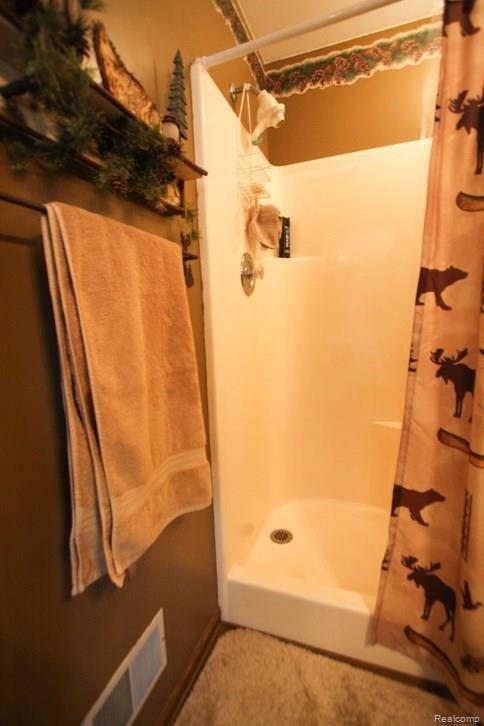 5591 Delmas Road Clarkston, MI 48348 - Photo 20 of 28 master bath shower.jpg