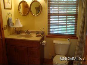181 Caledonia Road Landrum, SC 29356 - Photo 6 of 24 a bathroom with a sink and a mirror