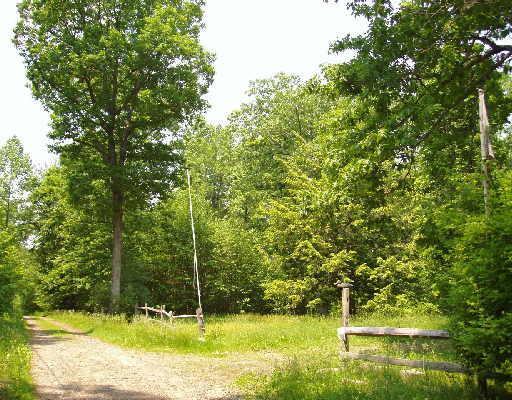48 Foulois Road Washington, CT 06794 - Photo 1 of 1 Gallery Image 1