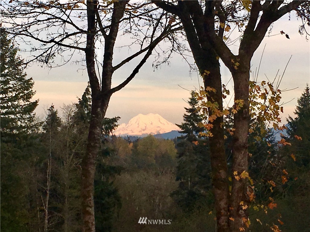5130 165th Lane Southwest Rochester, WA 98579 - Photo 1 of 25 a view of mountain view with lots of trees