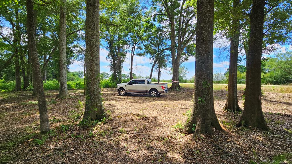 92 County Road 92 Slocomb, AL 36375 - Photo 43 of 58