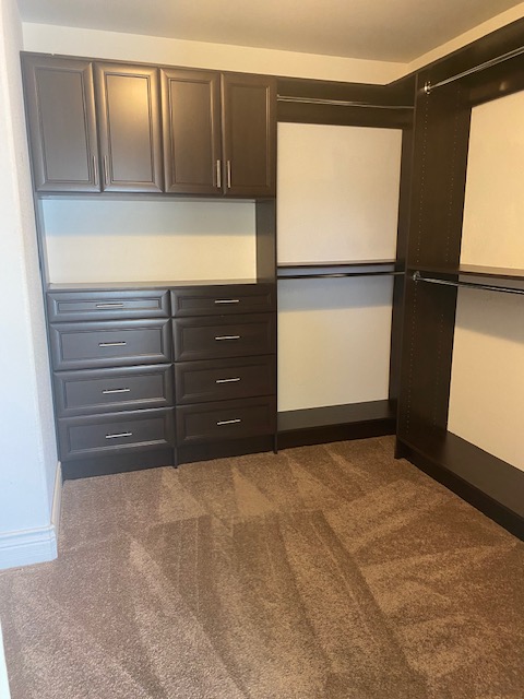 159 Tall Ruff Drive Las Vegas, NV 89148 - Photo 18 of 31 Rich wood built-ins and plush carpeting highlight this functional walk-in closet.