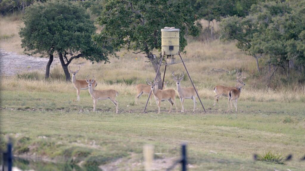 450 Jung Road Harper, TX 78631 - Photo 36 of 53 Gallery Image 36