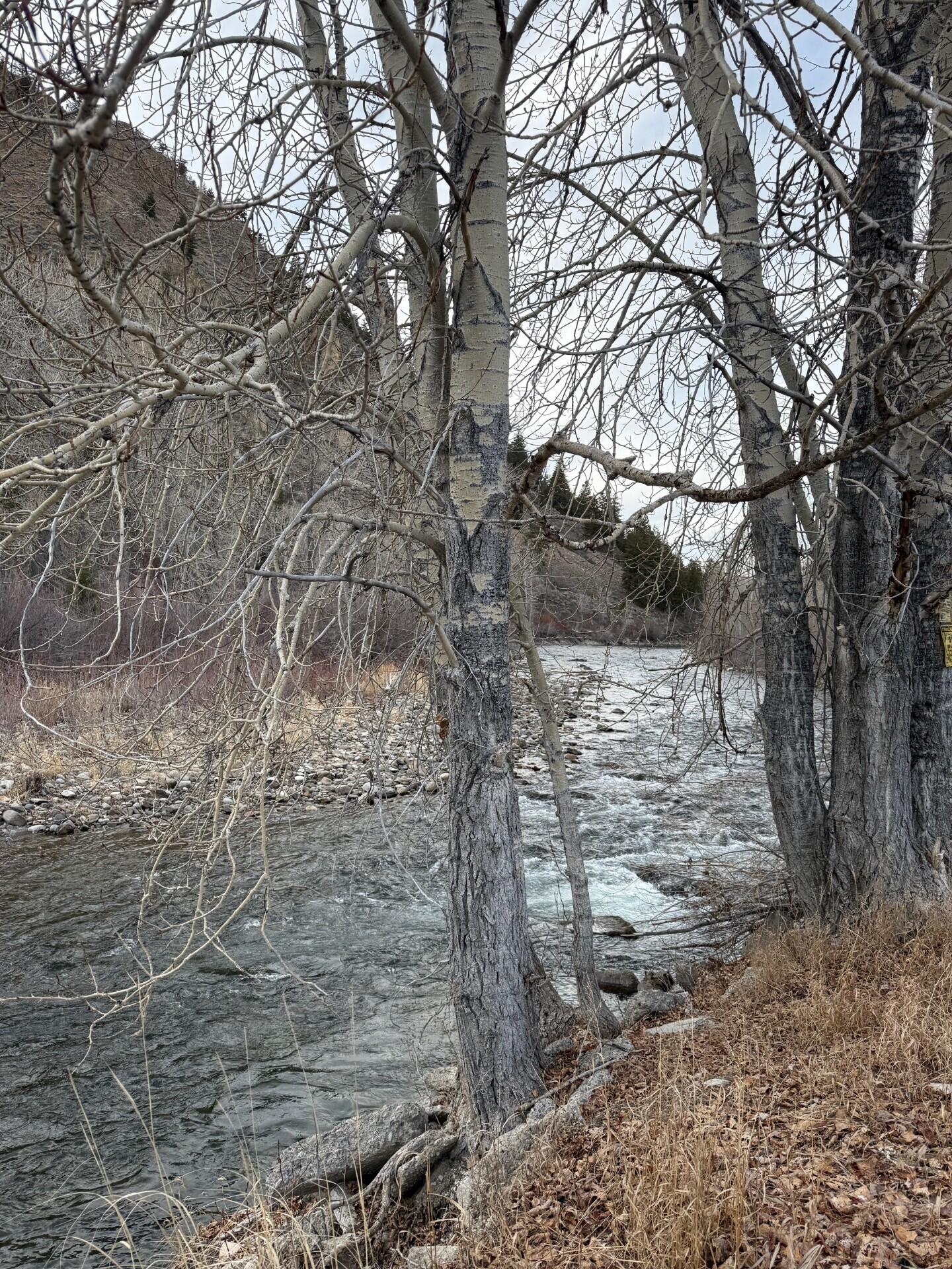 520 Angela Drive Hailey, ID 83333 - Photo 6 of 6 Scenic river near by