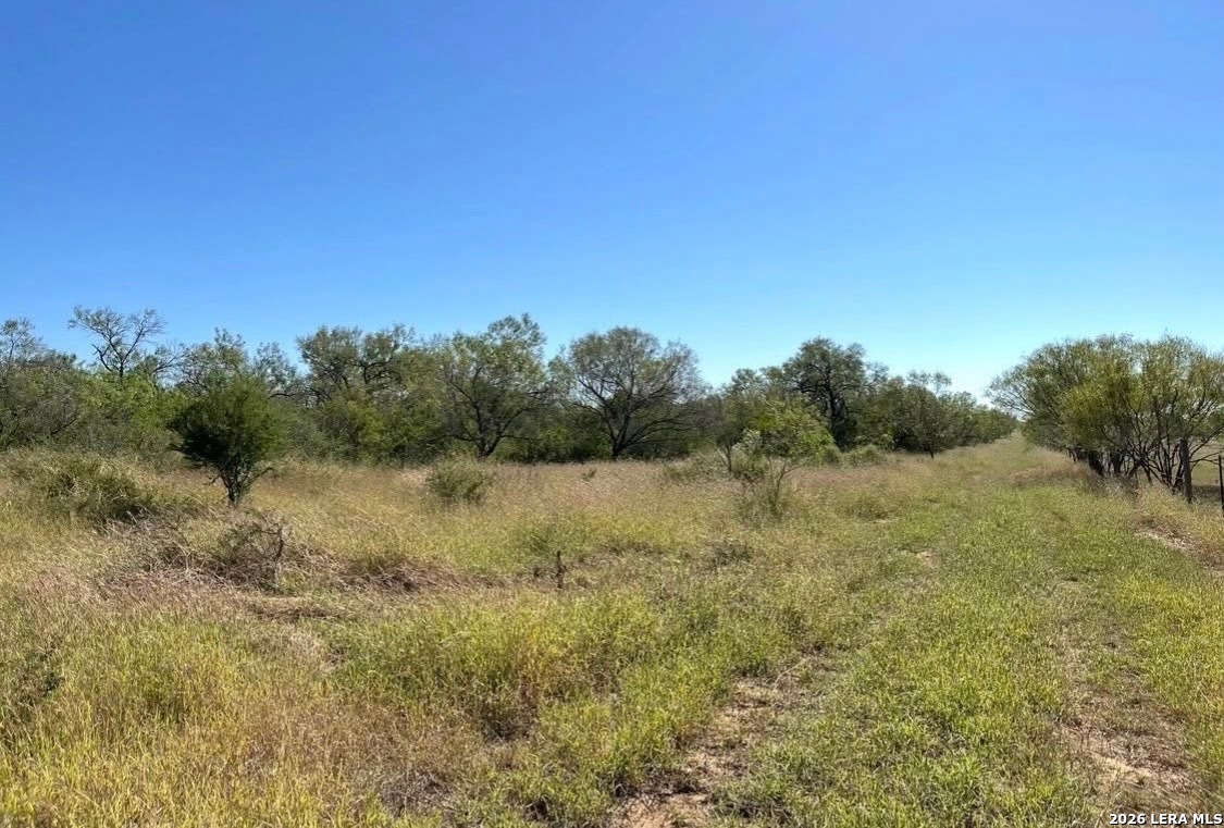 3968 Bluntzer Road Jourdanton, TX 78026 - Photo 23 of 39