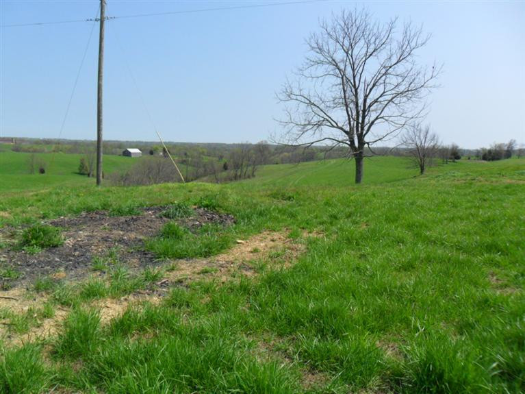 266 Sharpsburg Road Carlisle, KY 40311 - Photo 4 of 11 Photo 4