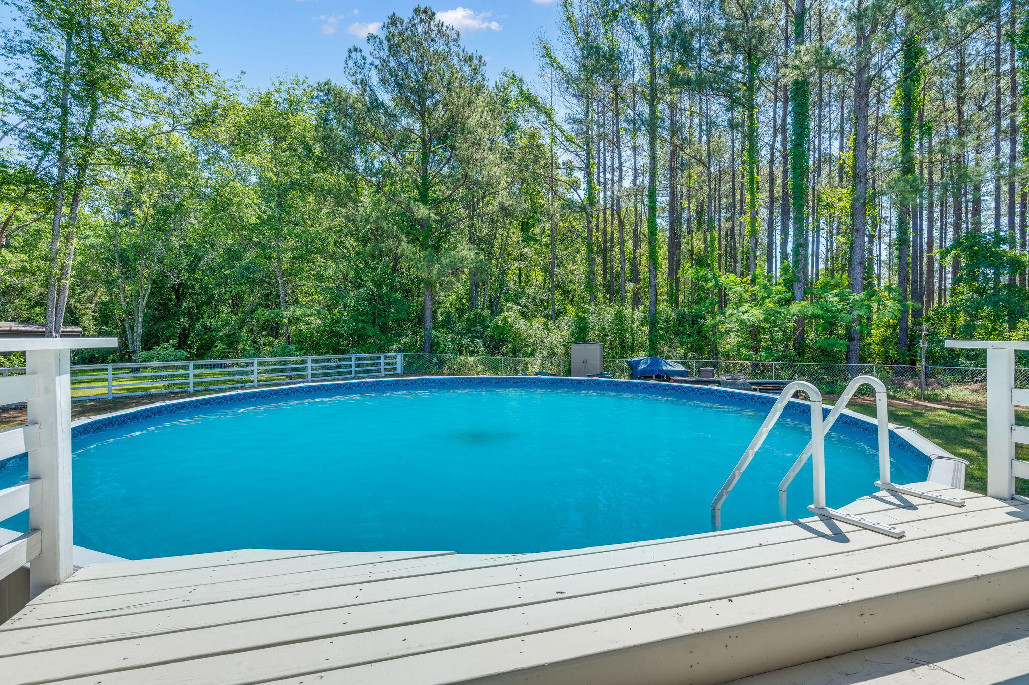 954 Old River Road Elloree, SC 29047 - Photo 45 of 66 49