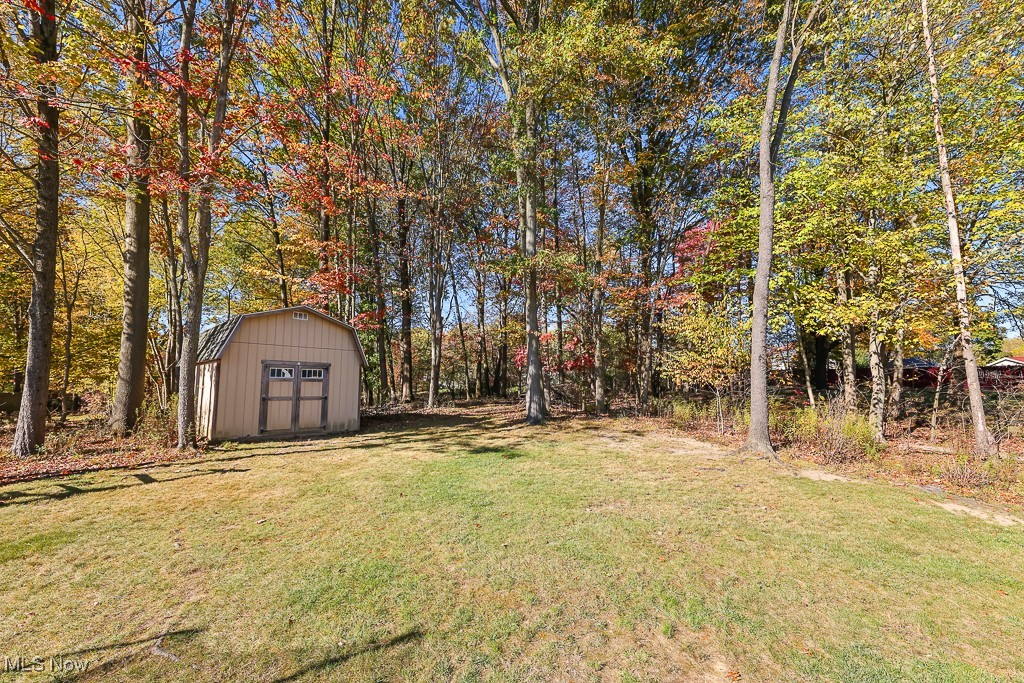 3982 Baird Road Stow, OH 44224 - Photo 41 of 50 View of grassy yard with a storage unit
