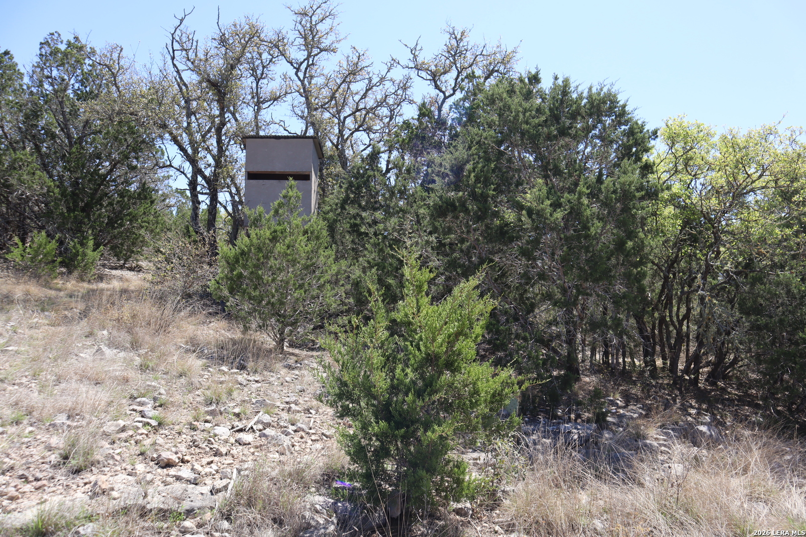 462 Schenk Witkowski Road Rocksprings, TX 78880 - Photo 14 of 63