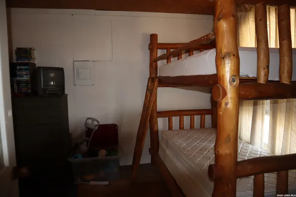 a view of a dry yard with trees