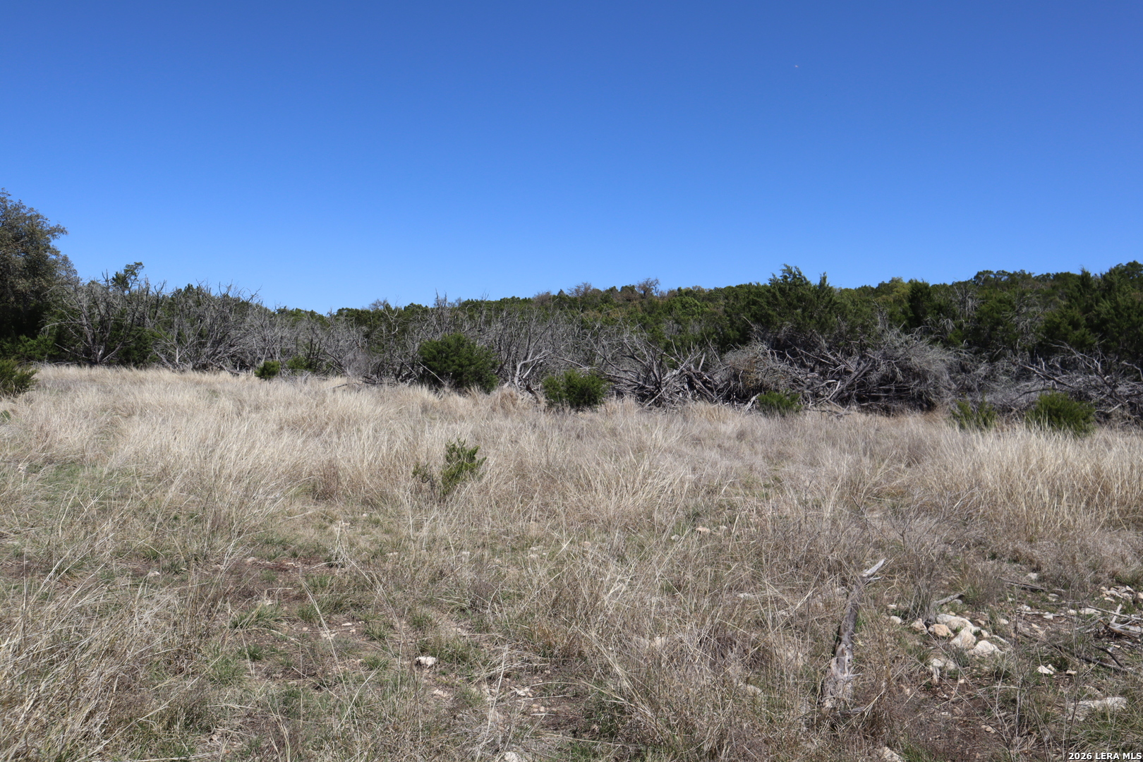 462 Schenk Witkowski Road Rocksprings, TX 78880 - Photo 16 of 63