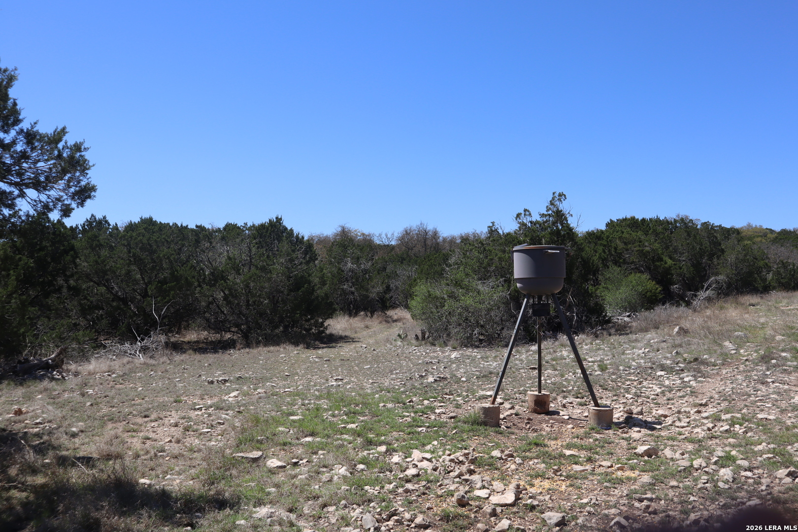 462 Schenk Witkowski Road Rocksprings, TX 78880 - Photo 24 of 63