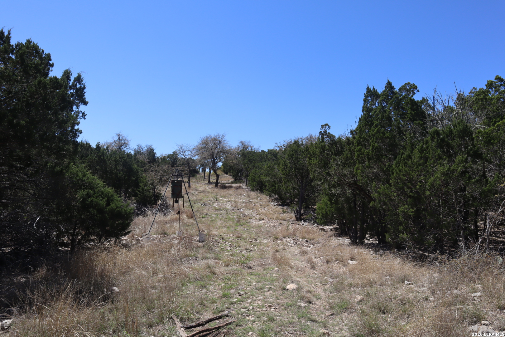 462 Schenk Witkowski Road Rocksprings, TX 78880 - Photo 26 of 63