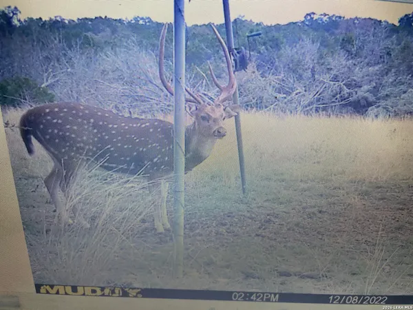 a view of a swimming pool