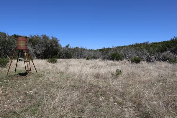 a view of backyard with wooden fence and a large tree