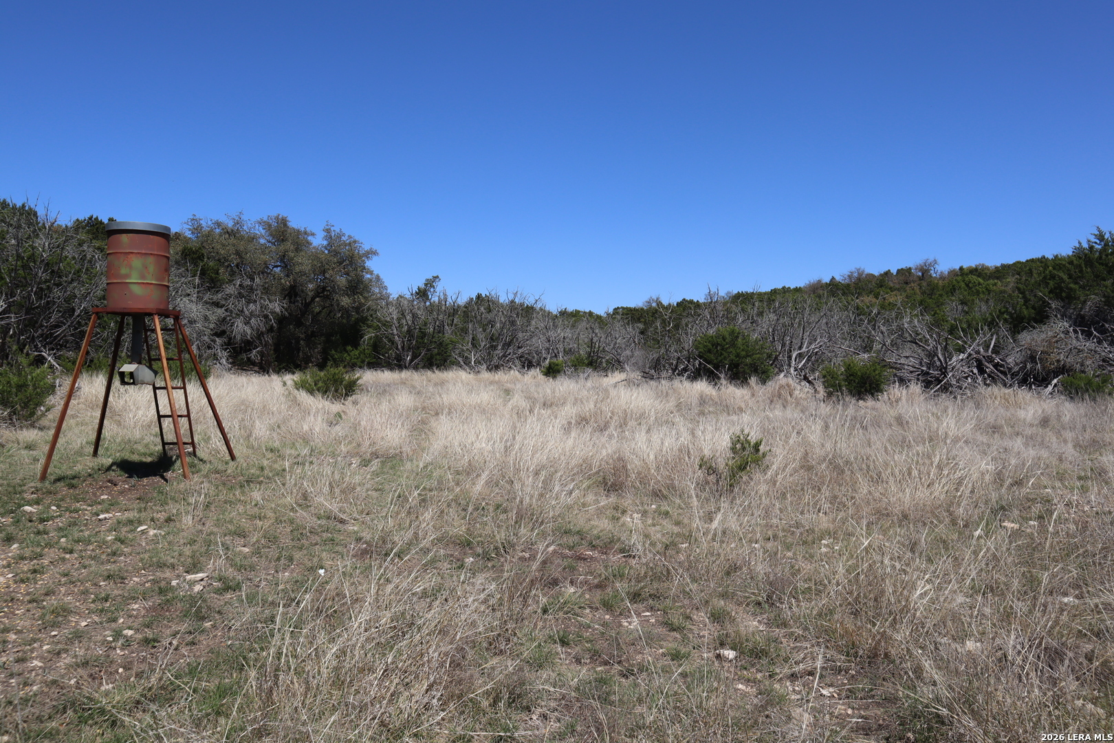462 Schenk Witkowski Road Rocksprings, TX 78880 - Photo 3 of 63