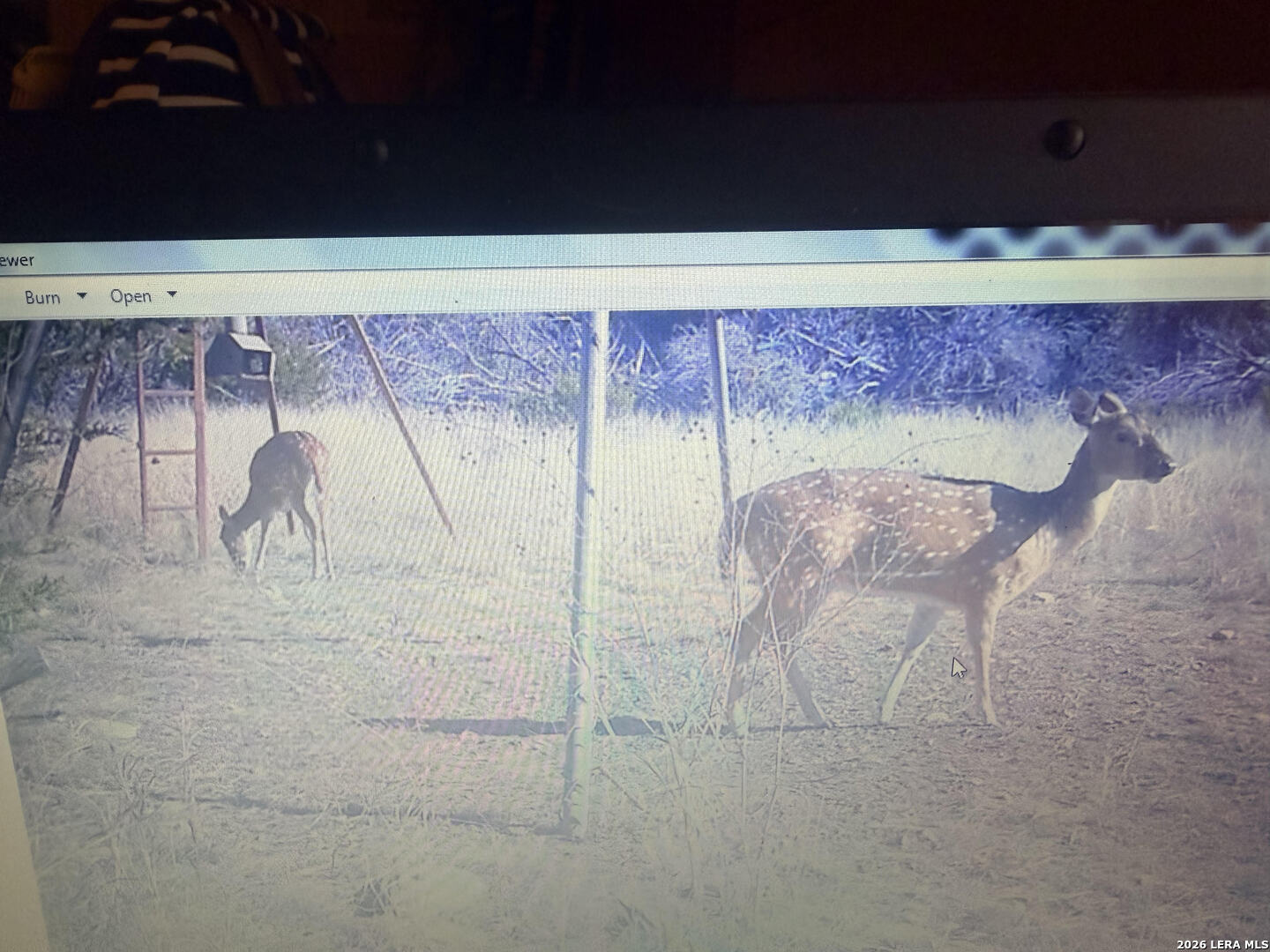 462 Schenk Witkowski Road Rocksprings, TX 78880 - Photo 31 of 63