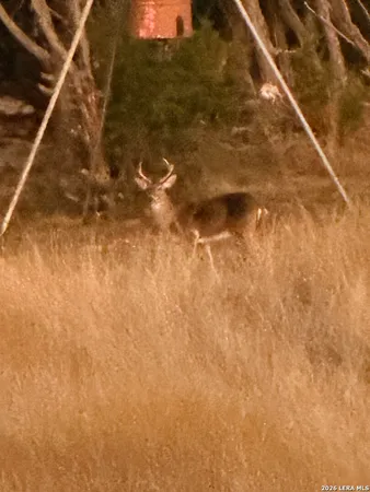 a close view of water heater room