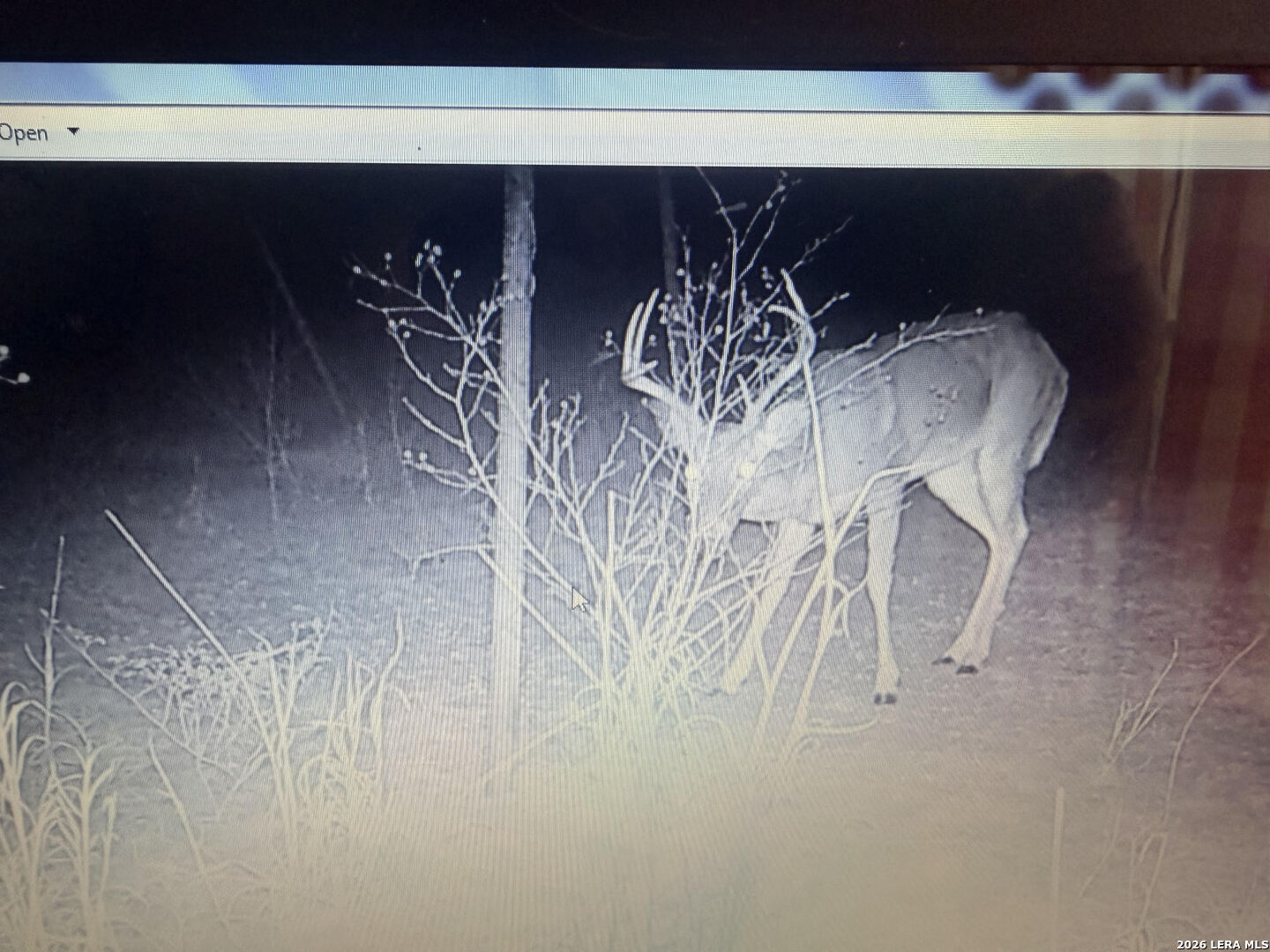 462 Schenk Witkowski Road Rocksprings, TX 78880 - Photo 33 of 63