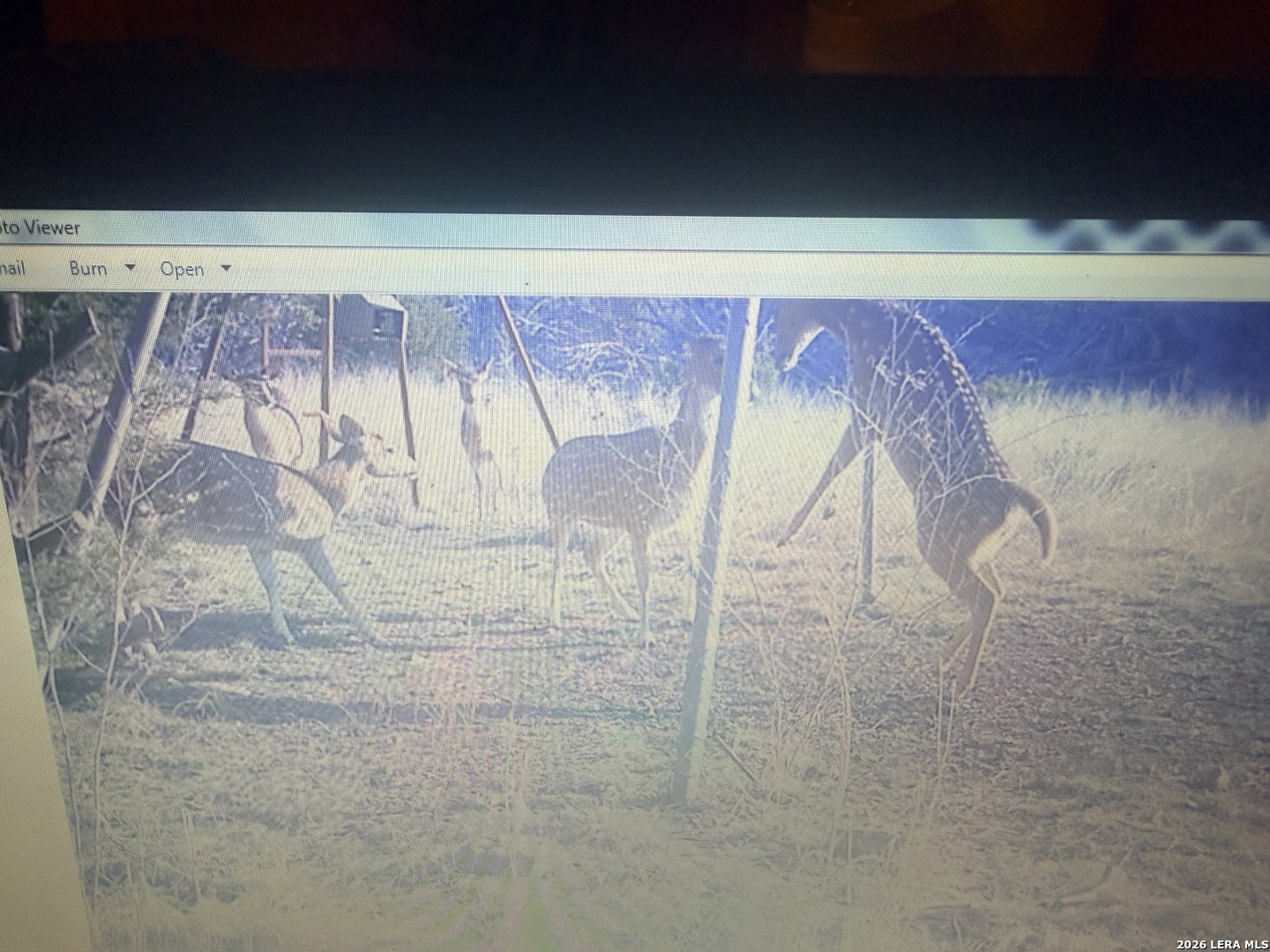 462 Schenk Witkowski Road Rocksprings, TX 78880 - Photo 34 of 63