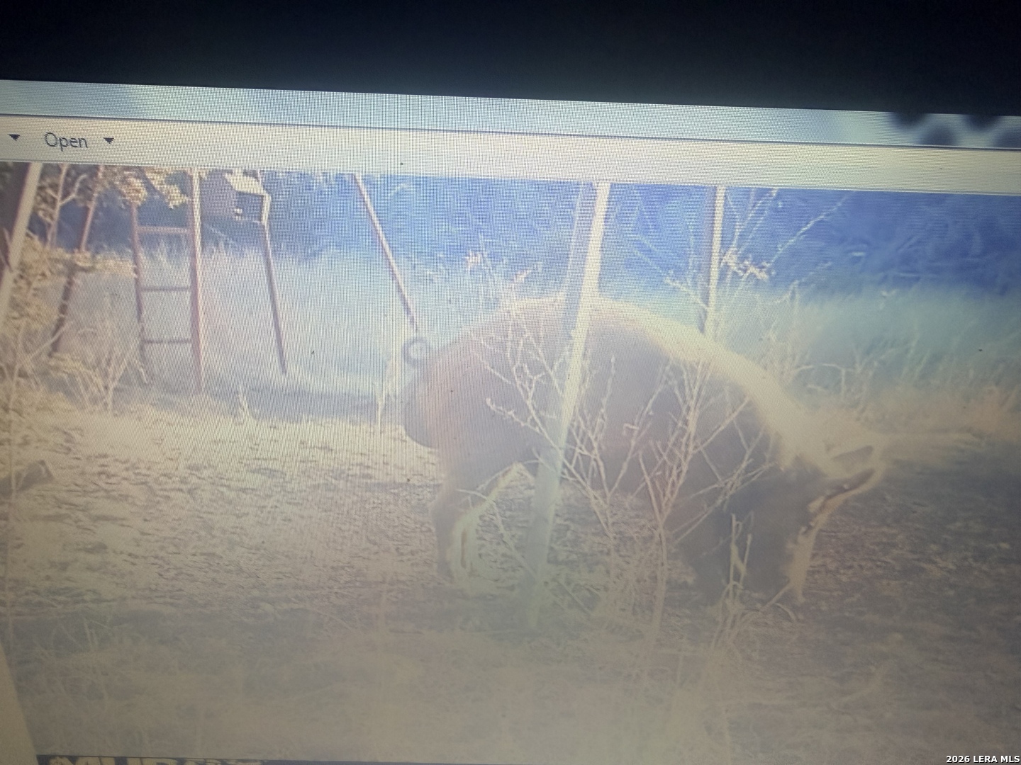 462 Schenk Witkowski Road Rocksprings, TX 78880 - Photo 36 of 63