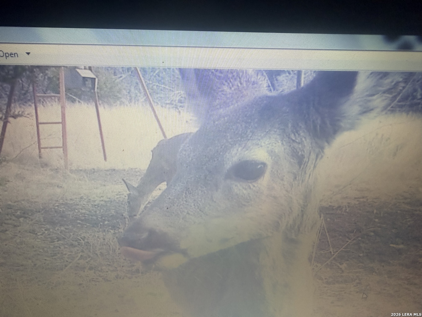 462 Schenk Witkowski Road Rocksprings, TX 78880 - Photo 37 of 63