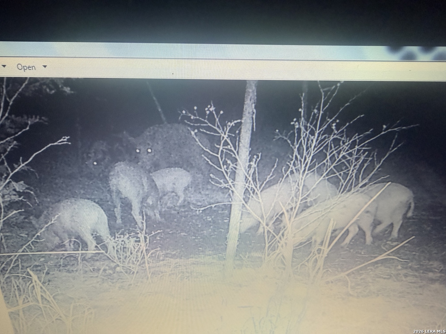 462 Schenk Witkowski Road Rocksprings, TX 78880 - Photo 38 of 63