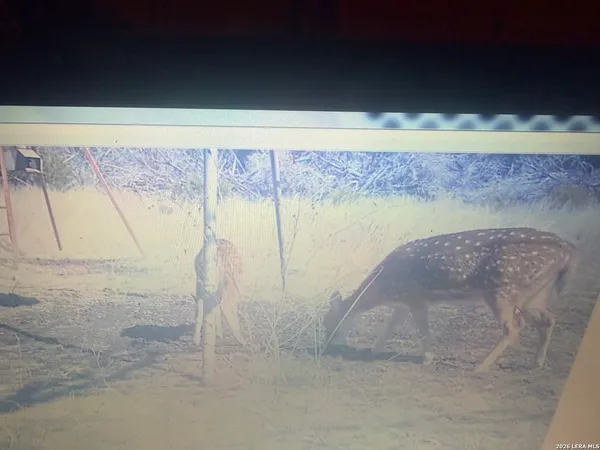 a view of a lake with a forest