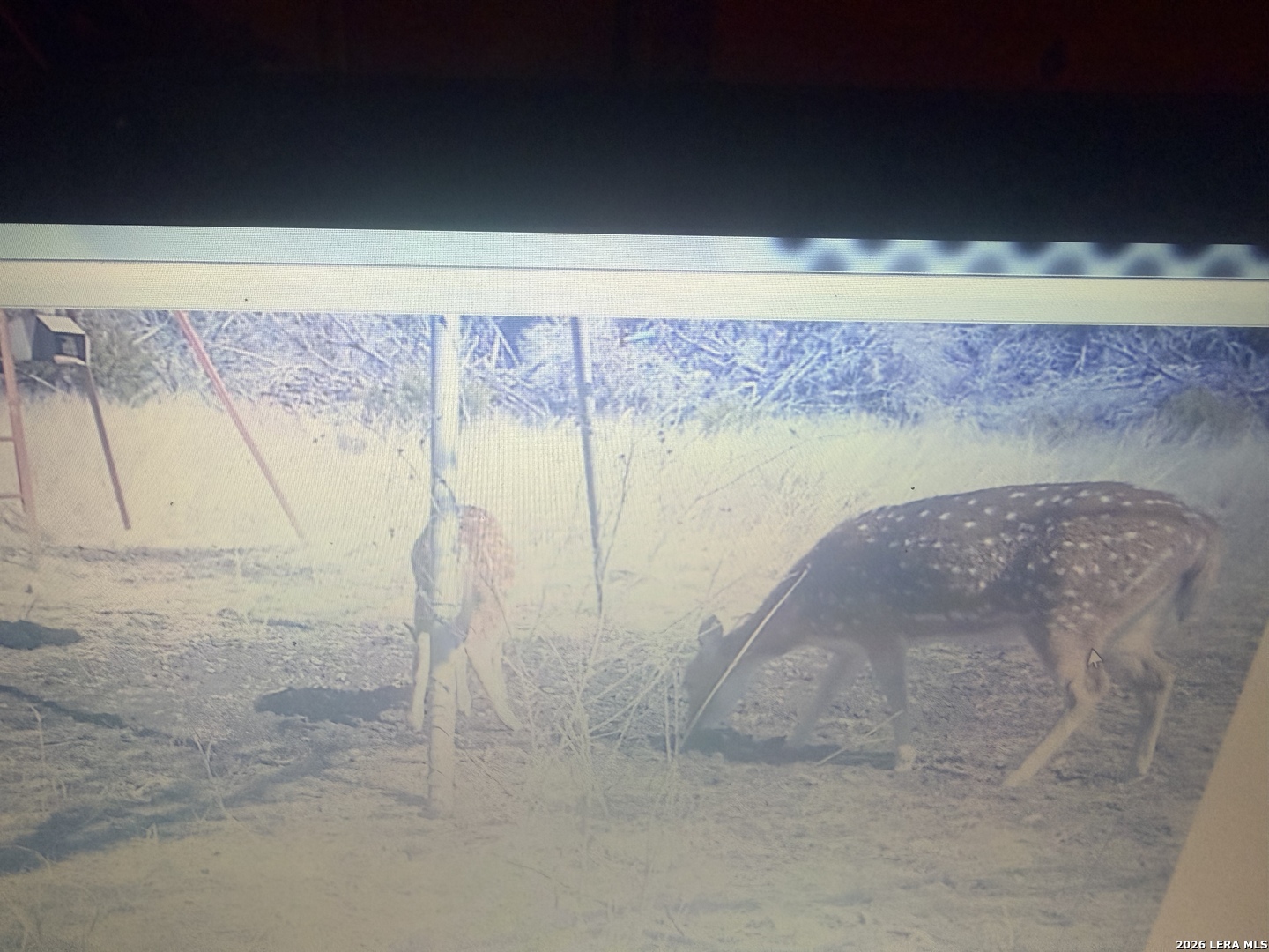 462 Schenk Witkowski Road Rocksprings, TX 78880 - Photo 39 of 63