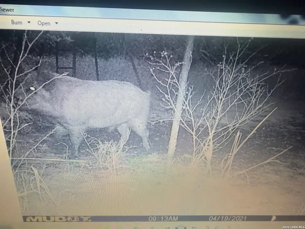 a view of a television in a field