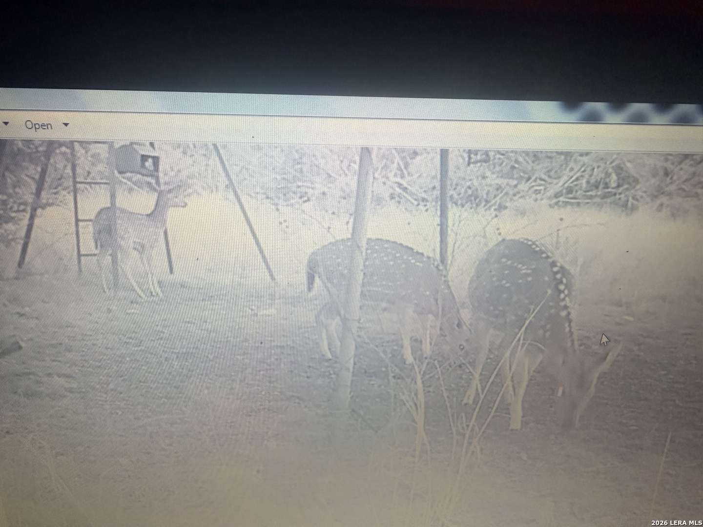 462 Schenk Witkowski Road Rocksprings, TX 78880 - Photo 41 of 63