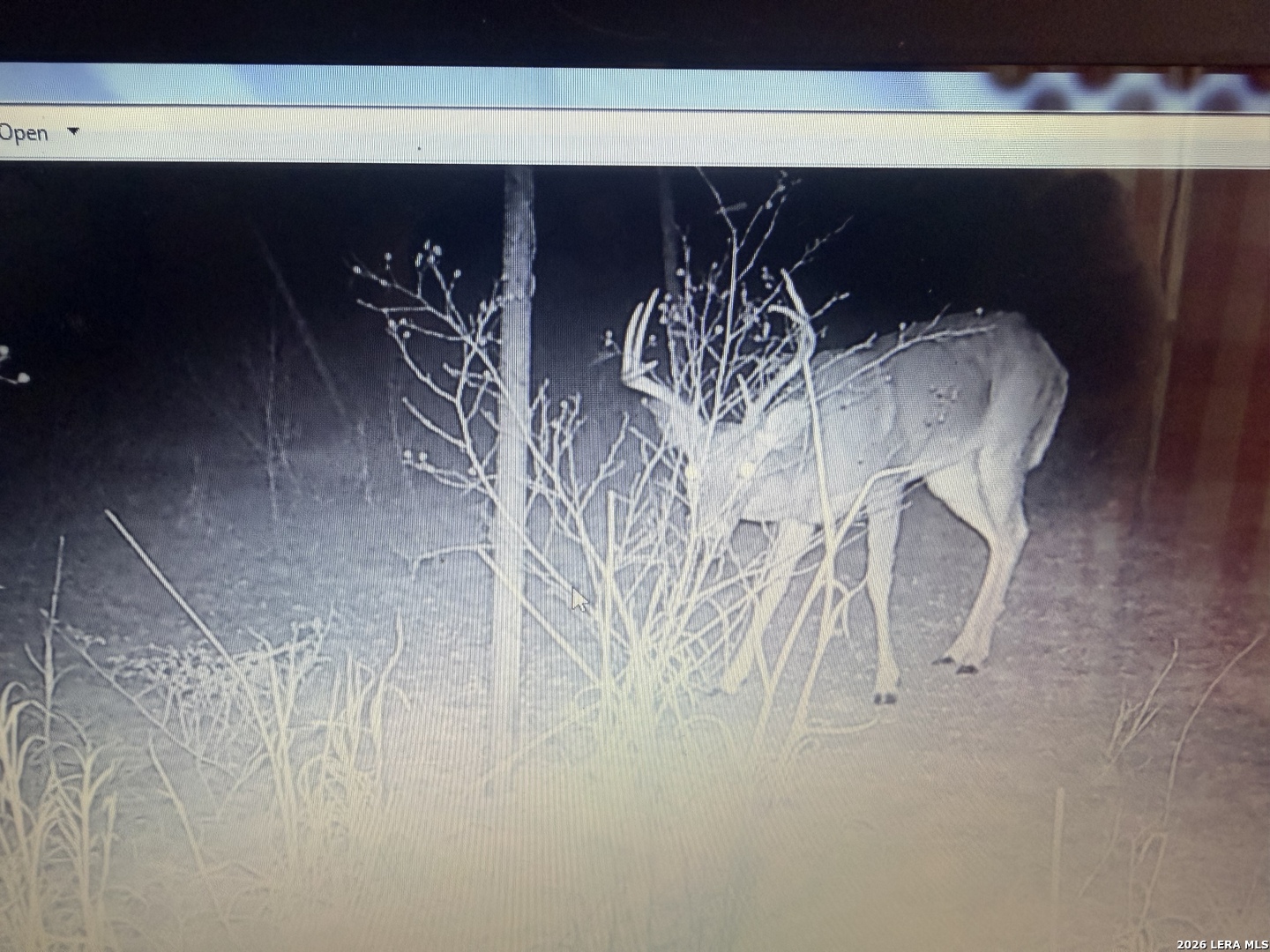 462 Schenk Witkowski Road Rocksprings, TX 78880 - Photo 43 of 63