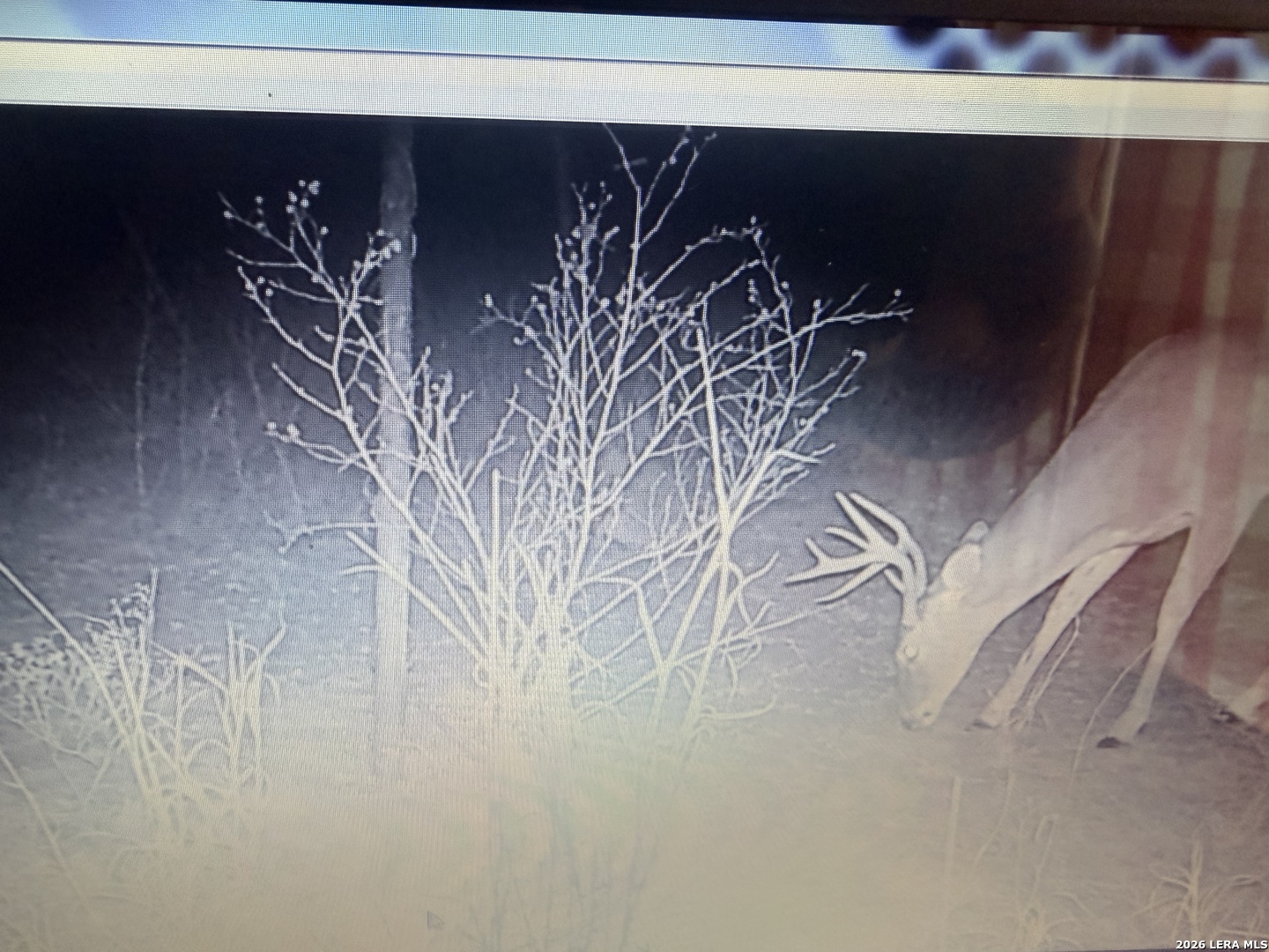 462 Schenk Witkowski Road Rocksprings, TX 78880 - Photo 44 of 63