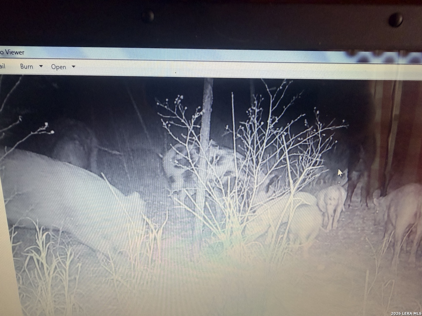 462 Schenk Witkowski Road Rocksprings, TX 78880 - Photo 45 of 63