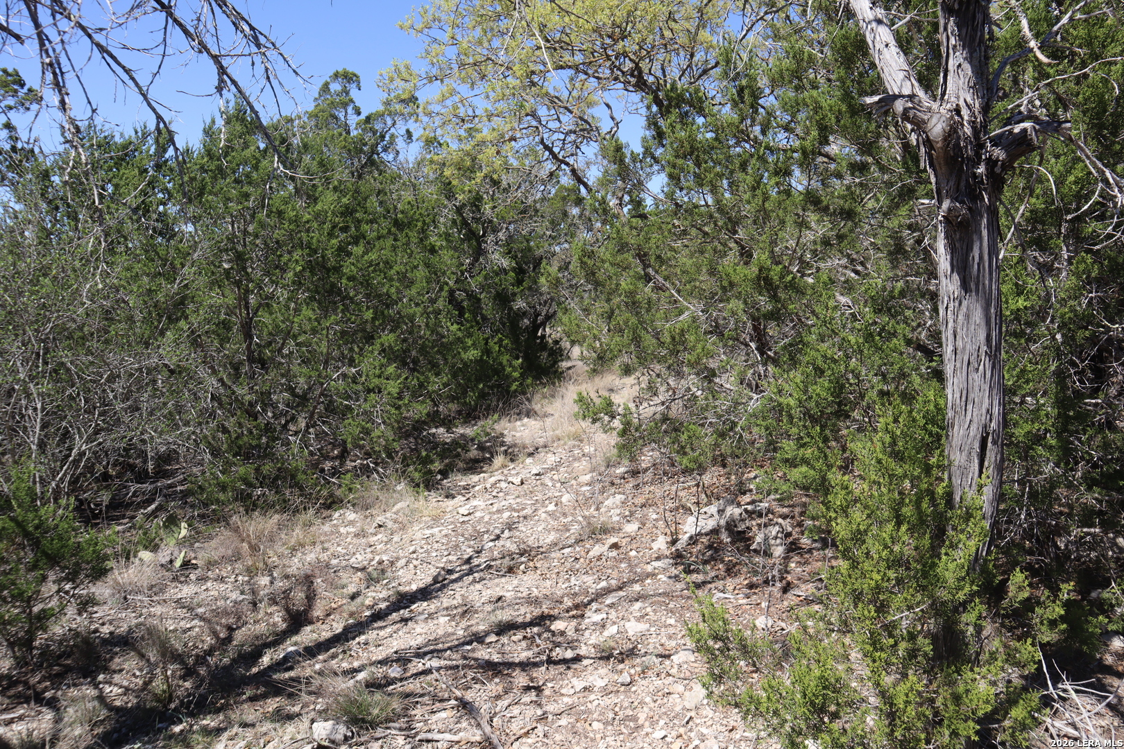 462 Schenk Witkowski Road Rocksprings, TX 78880 - Photo 46 of 63