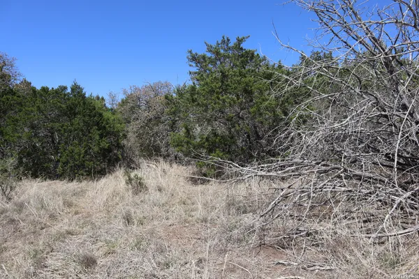 a view of a dirt pathway both side of a road