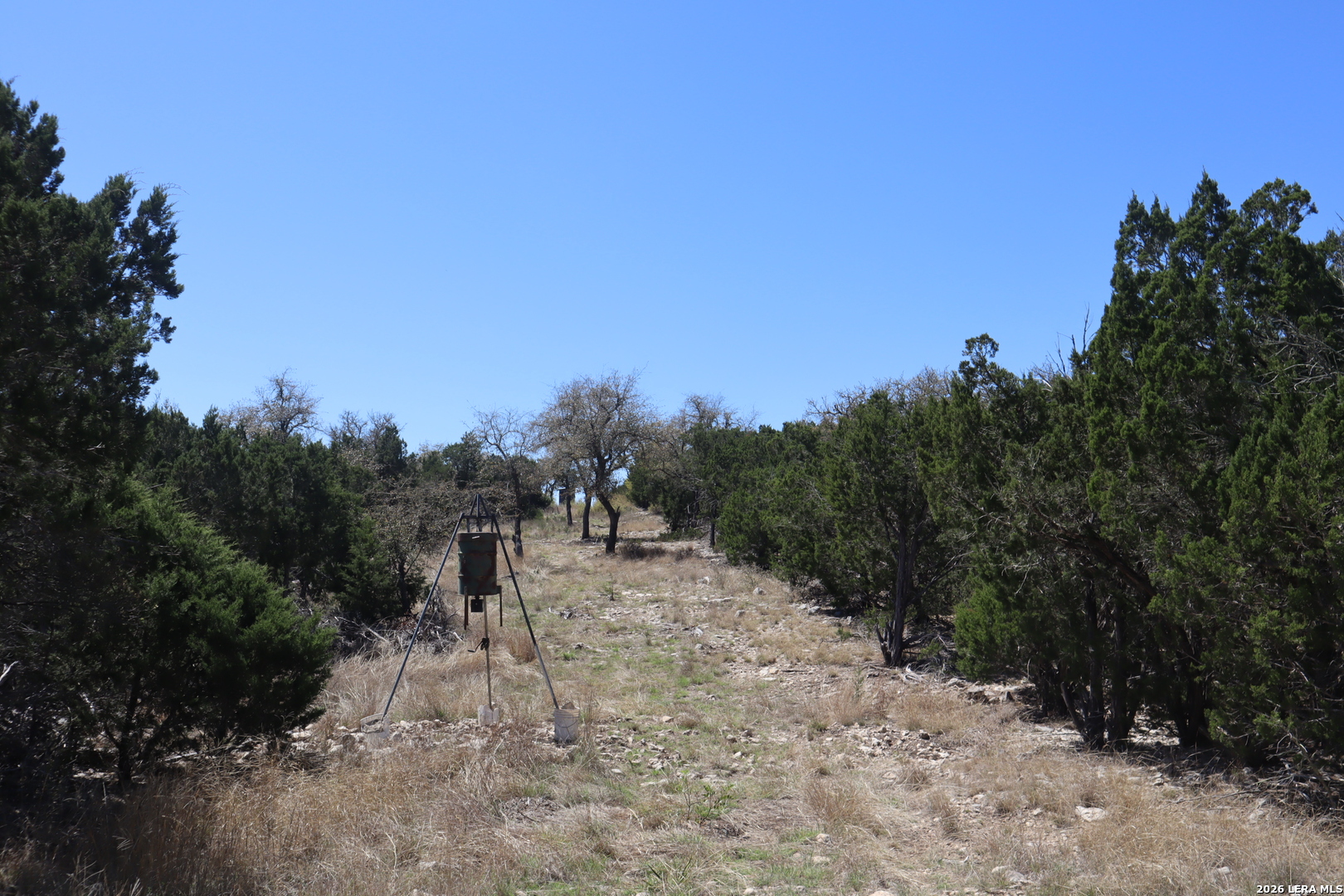 462 Schenk Witkowski Road Rocksprings, TX 78880 - Photo 50 of 63