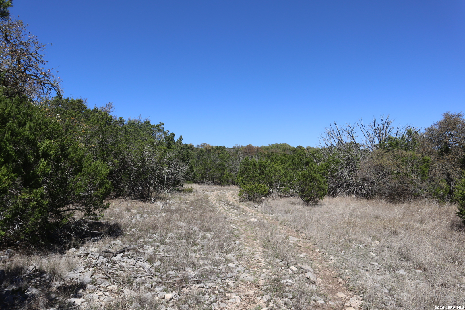 462 Schenk Witkowski Road Rocksprings, TX 78880 - Photo 54 of 63