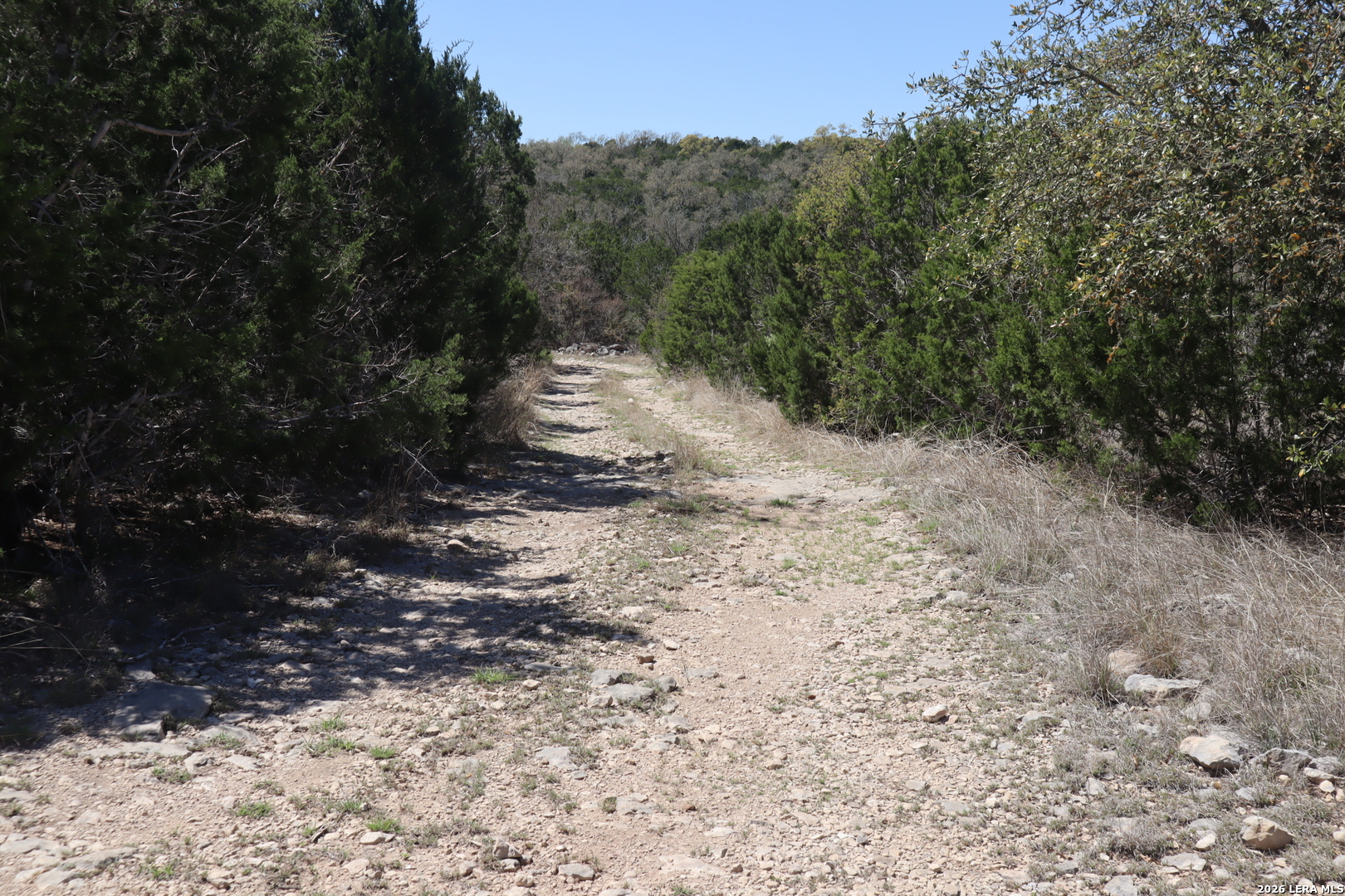 462 Schenk Witkowski Road Rocksprings, TX 78880 - Photo 56 of 63