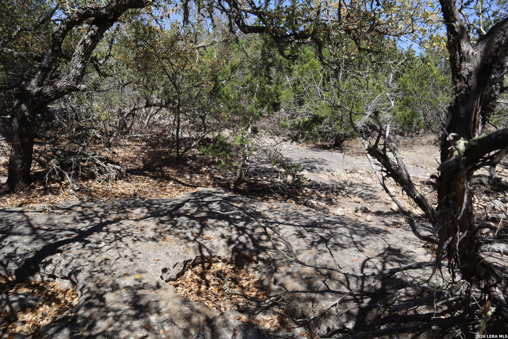 462 Schenk Witkowski Road Rocksprings, TX 78880 - Photo 58 of 63