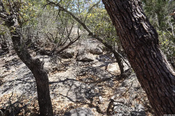 $249,900 | 462 Schenk Witkowski Road, Rocksprings, TX 78880