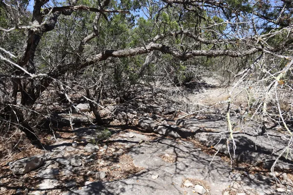 $249,900 | 462 Schenk Witkowski Road, Rocksprings, TX 78880