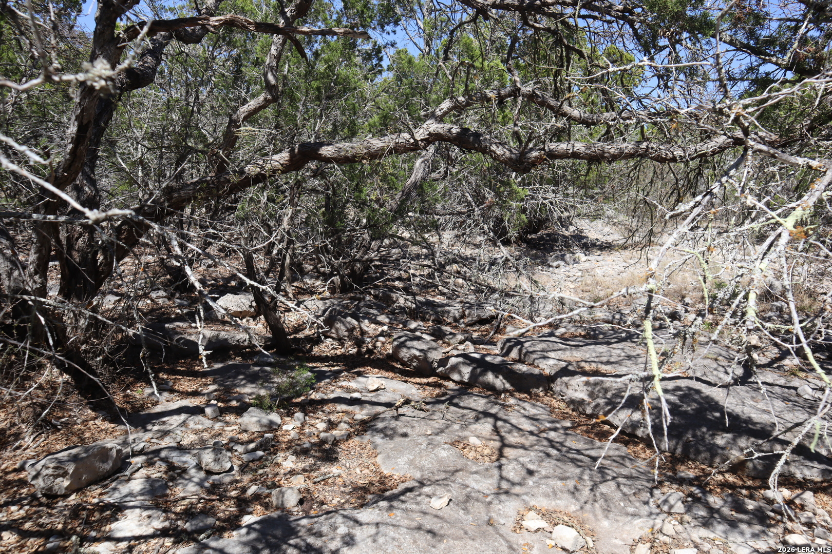 462 Schenk Witkowski Road Rocksprings, TX 78880 - Photo 60 of 63