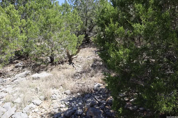 $249,900 | 462 Schenk Witkowski Road, Rocksprings, TX 78880