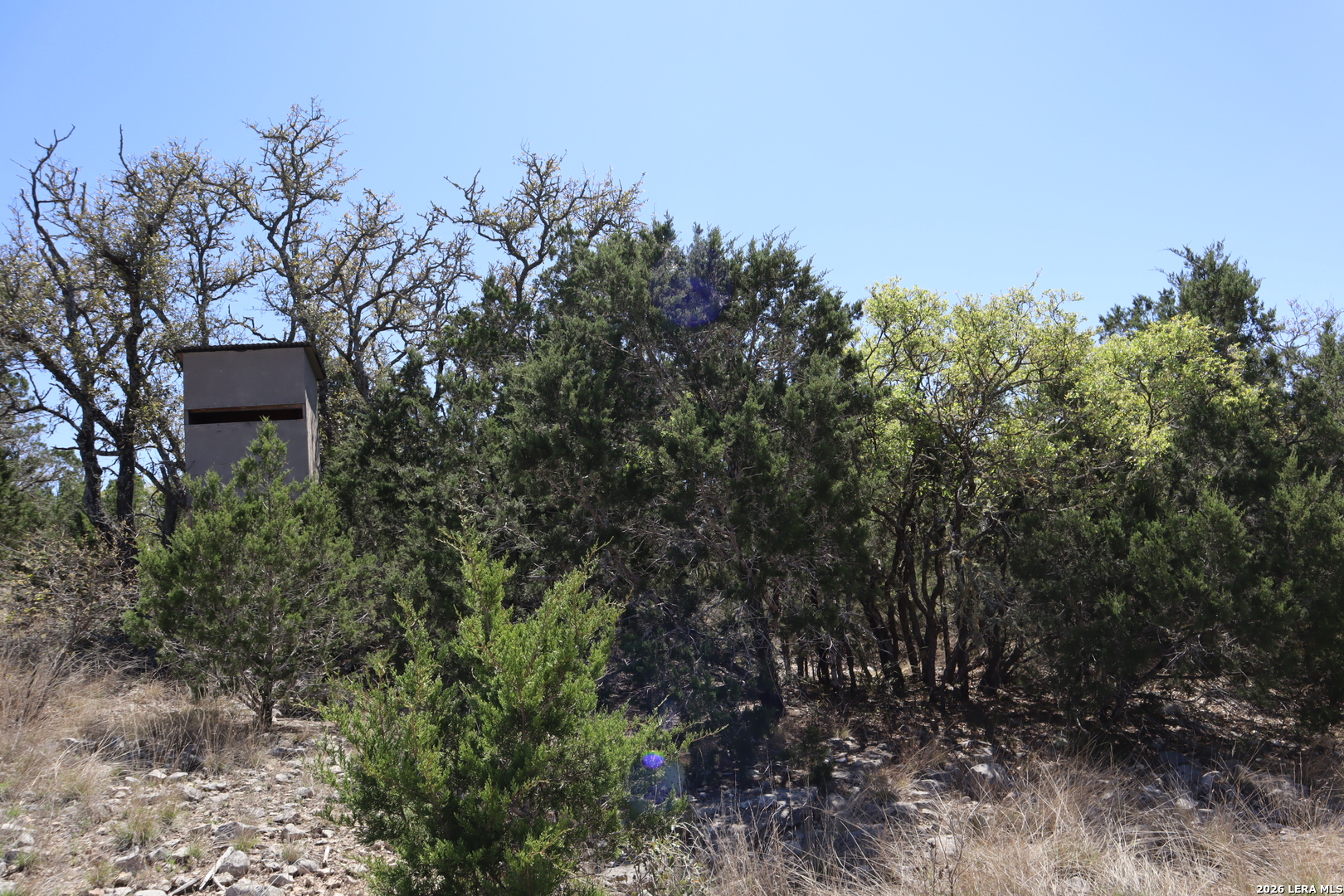 462 Schenk Witkowski Road Rocksprings, TX 78880 - Photo 8 of 63