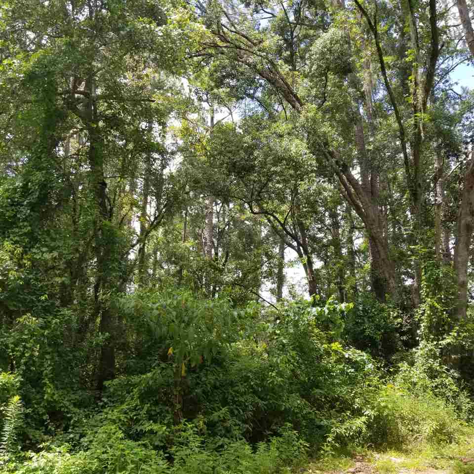 2810 Rabbit Hills Road Tallahassee, FL 32308 - Photo 1 of 2 Gallery Image 1
