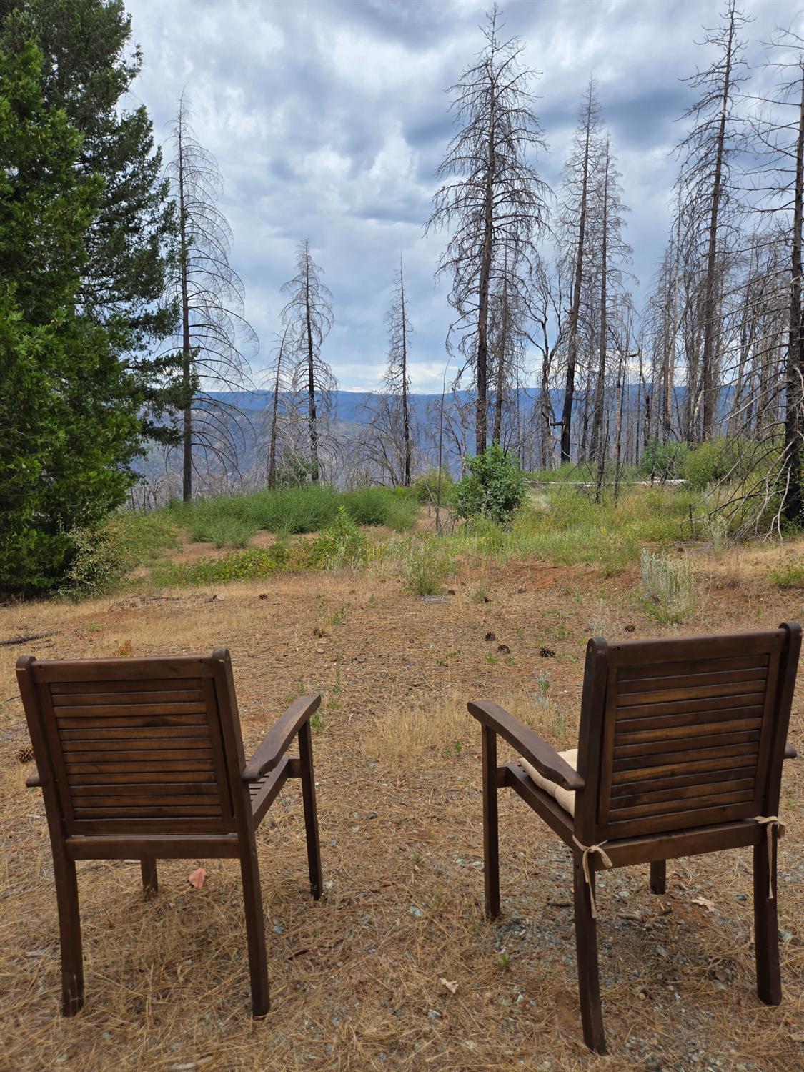 4071 Volcanoville Road Georgetown, CA 95634 - Photo 1 of 1 a view of a bench in a backyard