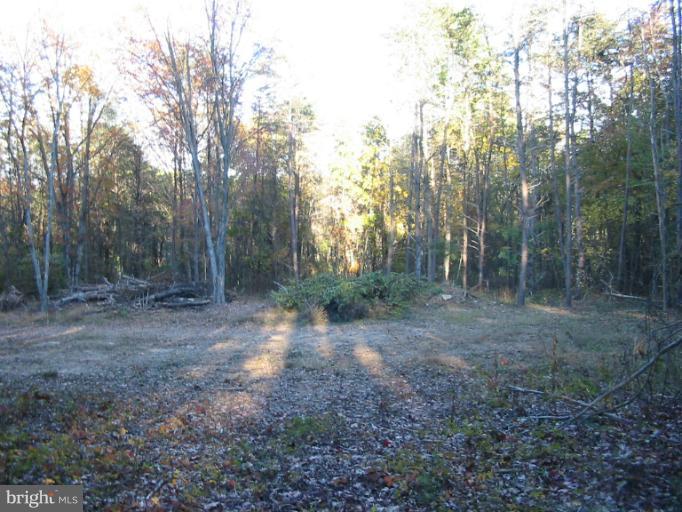 19234 Falls Road Hampstead, MD 21074 - Photo 11 of 11 a view of a forest with trees in the background
