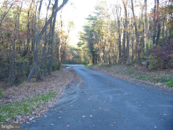 19234 Falls Road Hampstead, MD 21074 - Photo 3 of 11 a view of a forest with trees